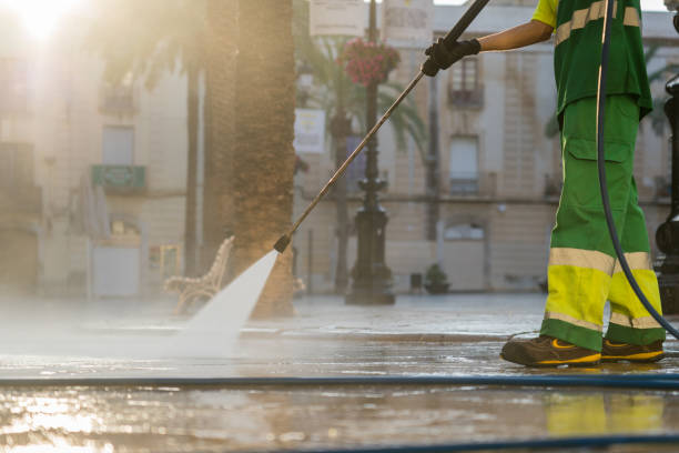 Best Pressure Washing Siding  in Hamburg, IA